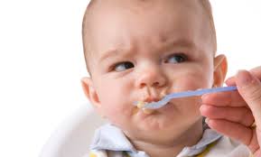 Частые ошибки при введении прикорма