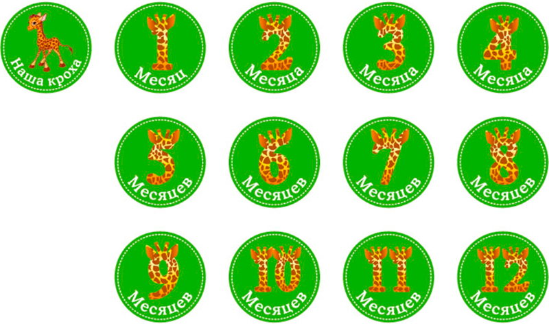 Набор наклеeк унисекс Stick n Click «Жирафы»