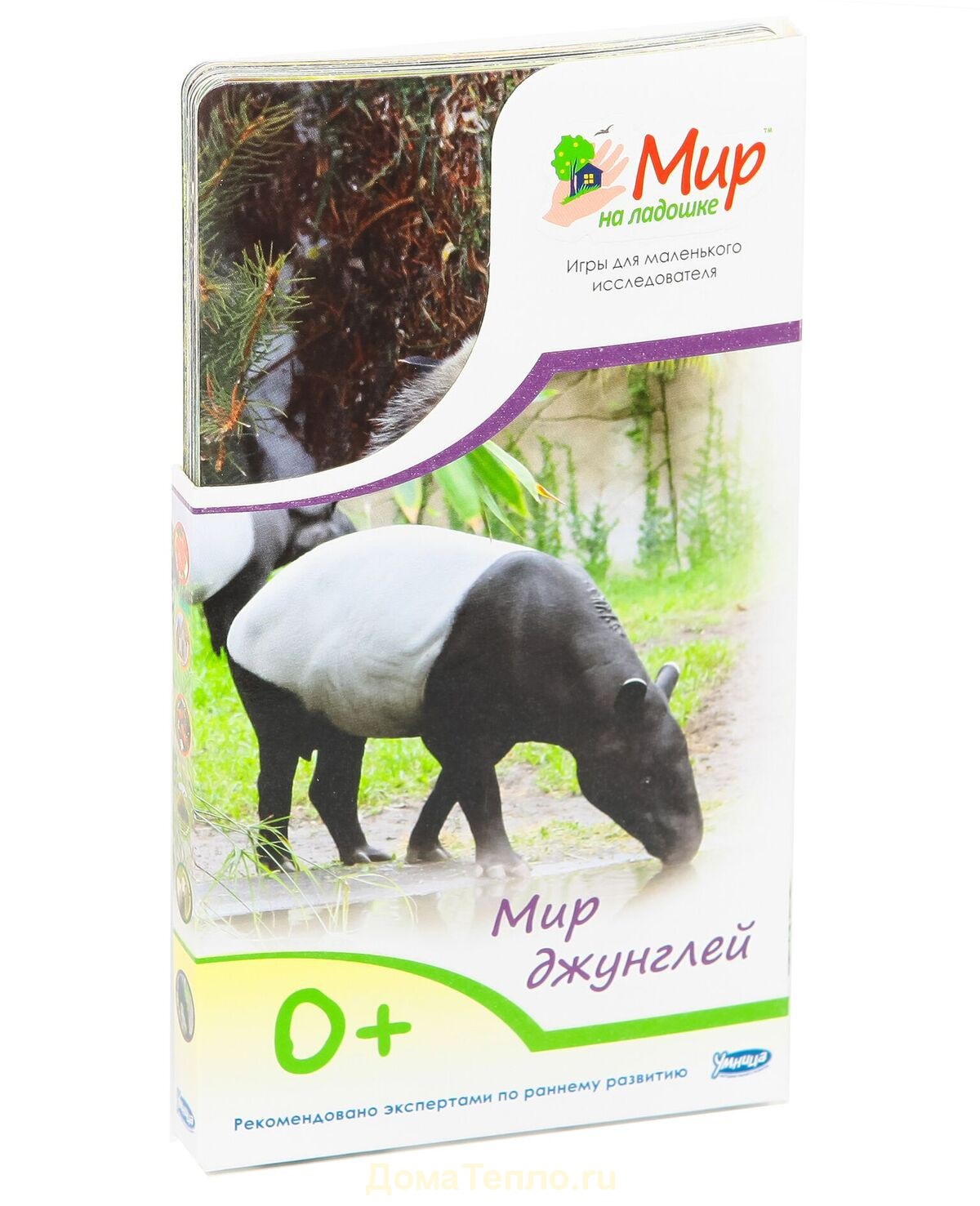 Мир на ладошке Умница "МИР ДЖУНГЛЕЙ"