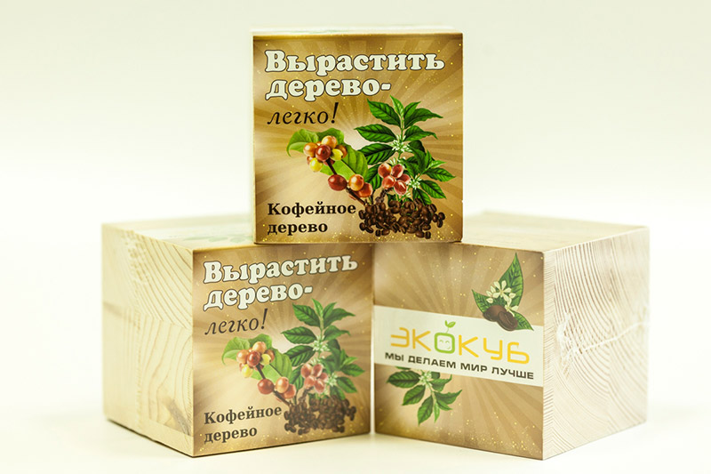 Eco ЭкоКуб "Кофейное дерево"