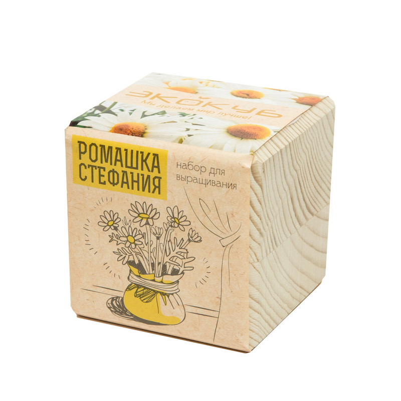 Eco Экокуб "Ромашка Стефания"