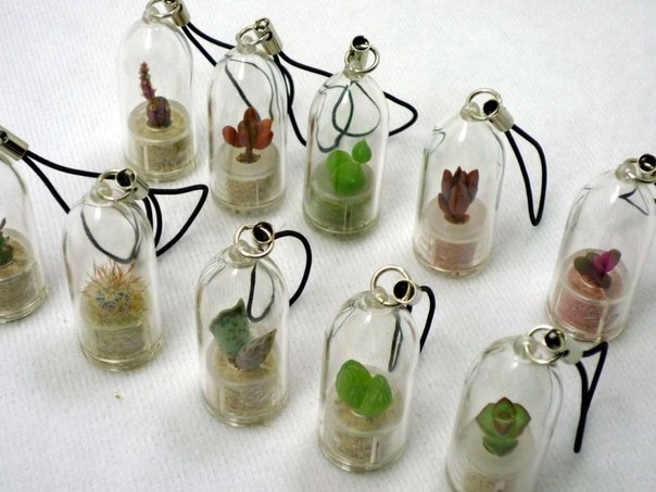 MC03 Растение в брелоке "Эко-Друг"