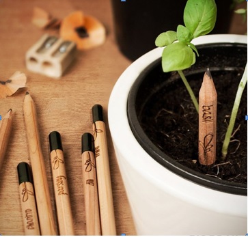 GSK-03-02 Растущий карандаш "Цветущий сад" простые (3 шт)