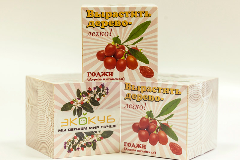 Eco ЭкоКуб "Годжи"