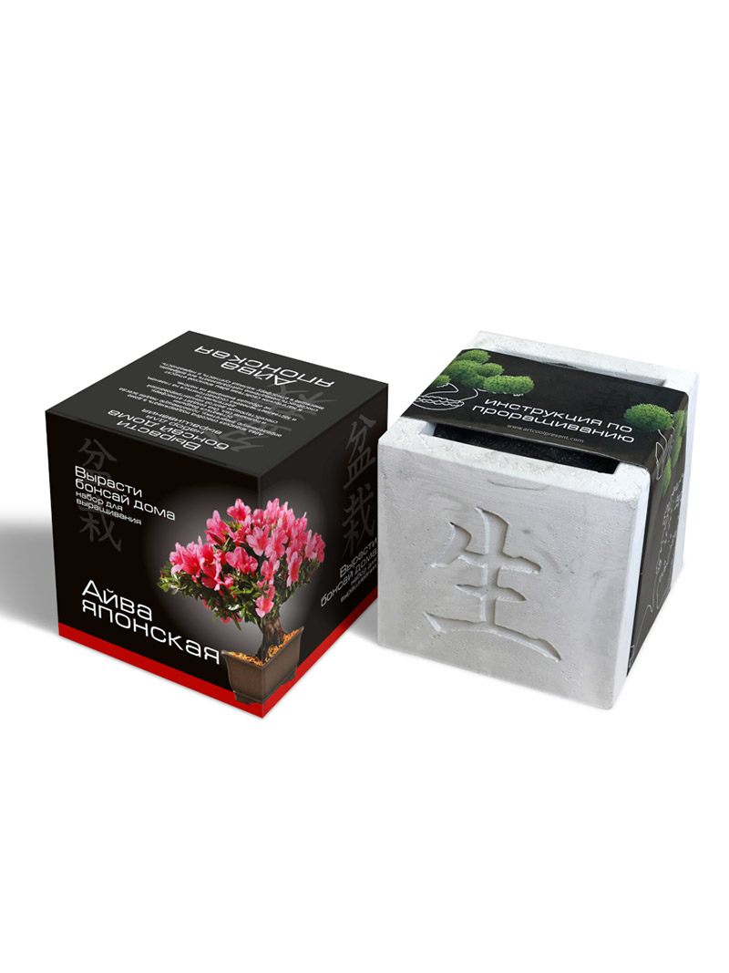 Набор для выращивания "Вырасти Бонсай дома- Айва"