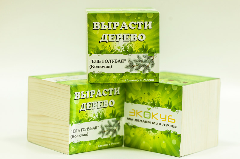 Eco ЭкоКуб "Ель голубая"