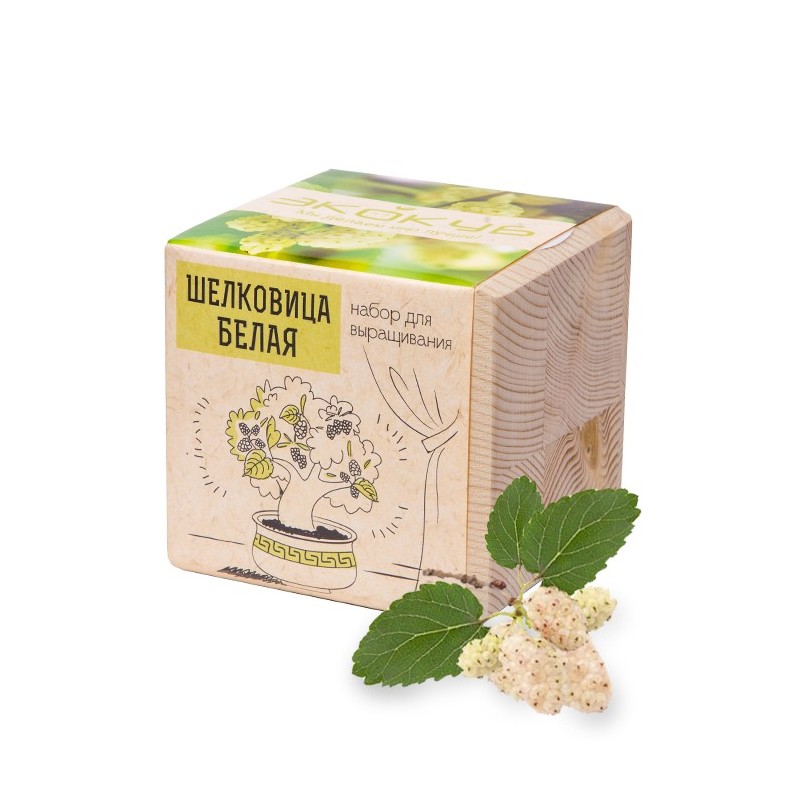 ECO ЭкоКуб "Шелковица белая"