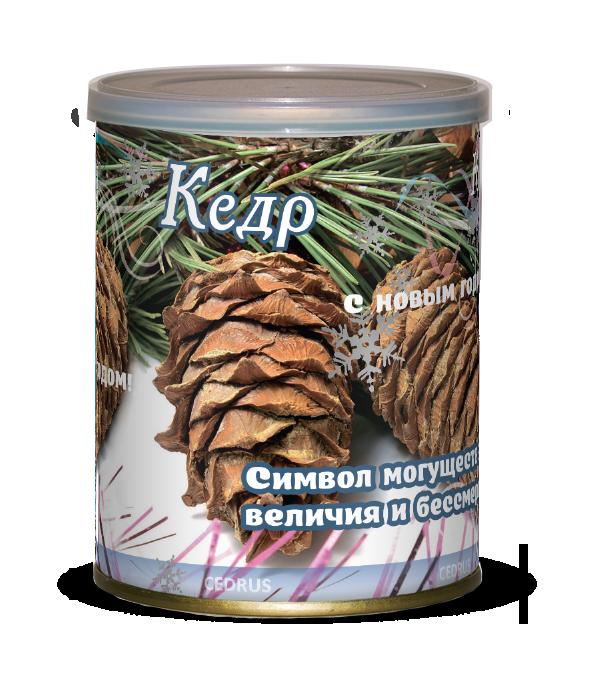 411739 Растение в банке "Кедр новогодний" Символ могущества, величия и бессмертия (набор для выращивания)