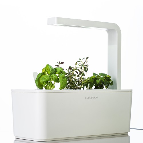 Smart-Herb-Garden Умный сад базилик (белая крышка)