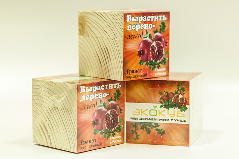 Eco ЭкоКуб "Гранат карликовый"