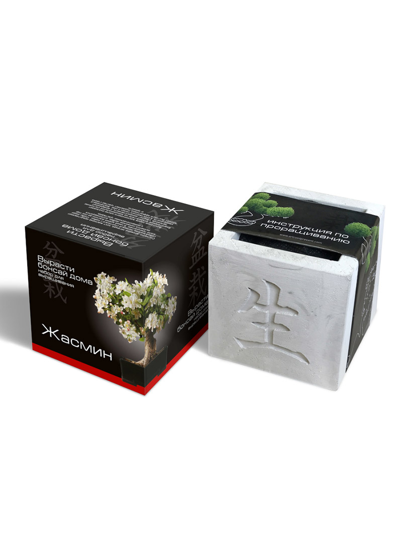 Набор для выращивания "Вырасти Бонсай дома- Жасмин"