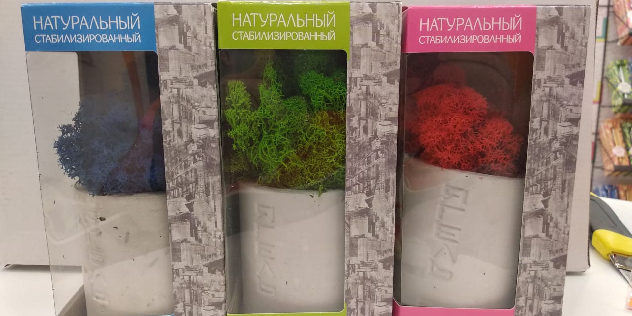 Мох Ягель натуральный, стабилизированный, розовый, в дизайнерском горшке.