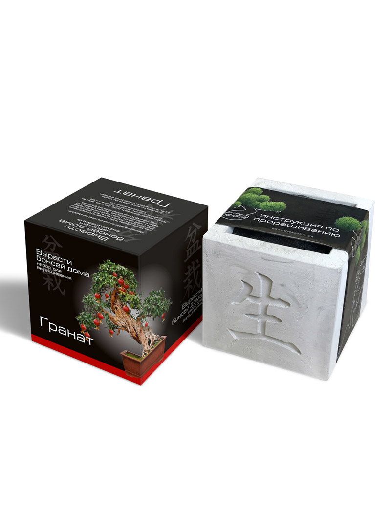 Набор для выращивания "Вырасти Бонсай дома- Гранат"