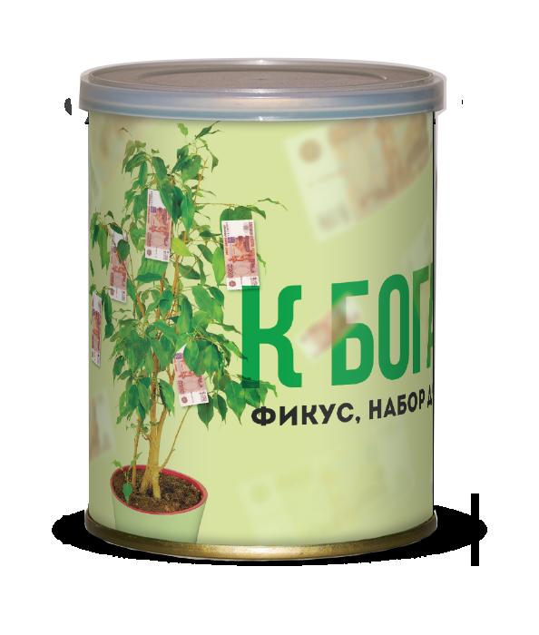 415089 Фикус К богатству! (набор для выращивания)